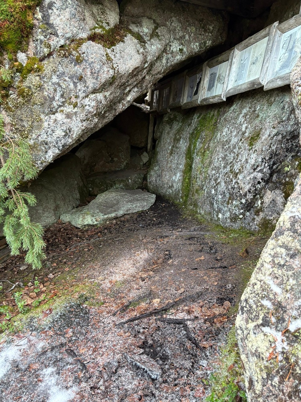 Schweden - Kiruna - Bärenhöhle