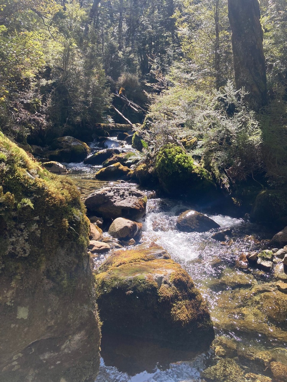 Neuseeland - Fiordland National Park - Am Walker River kann ich mich erstmal waschen, die Frage ist nur ist dass sinnvoll? 😂