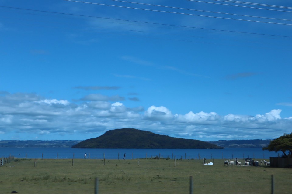 Neuseeland - Matakana Island - 