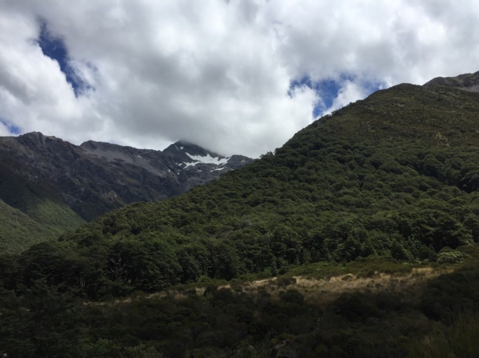 Neuseeland - Leeston - 