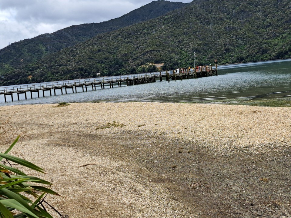 Neuseeland - Havelock - 