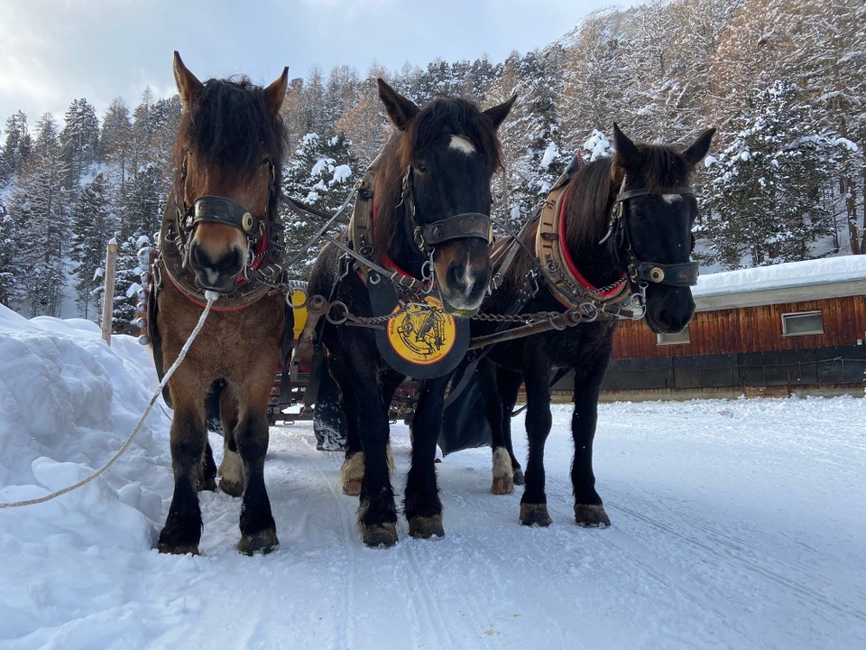 Schweiz - Pontresina - 