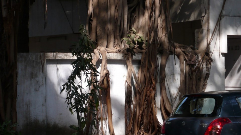Indien - Mumbai - 