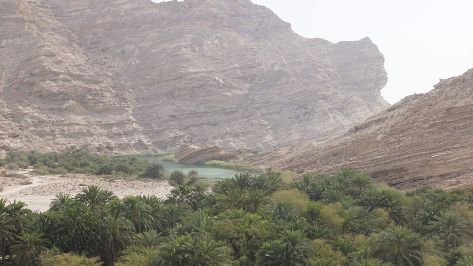 Oman -  - Eine Oase