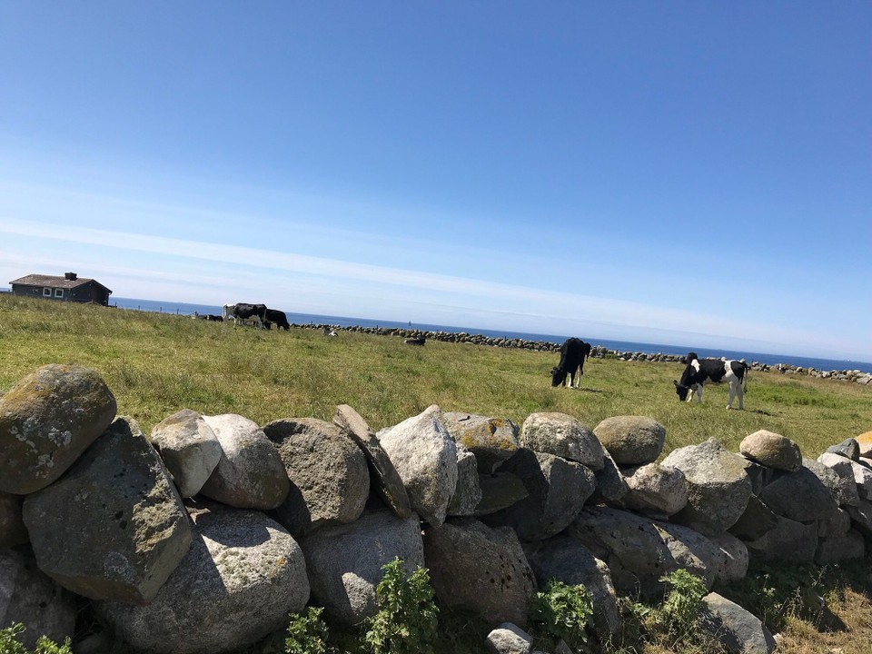 Norwegen - Stavanger - 