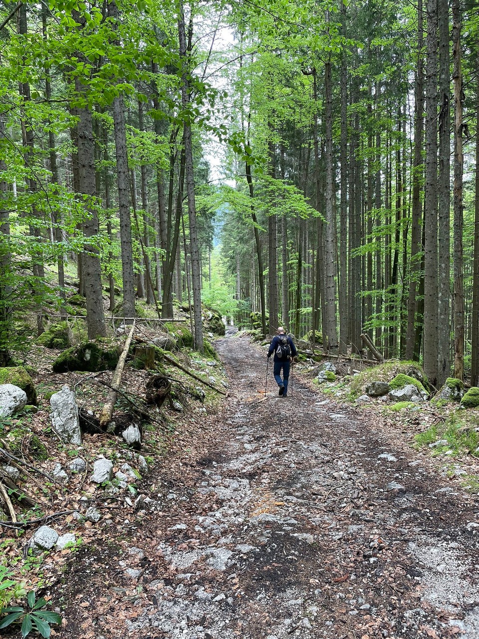 Slowenien - Rateče Planica - 
