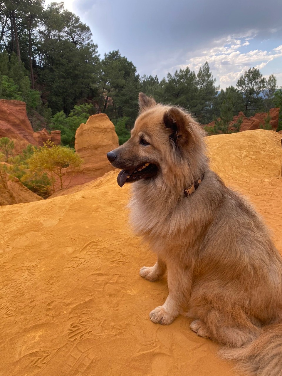 Frankreich - Roussillon - 