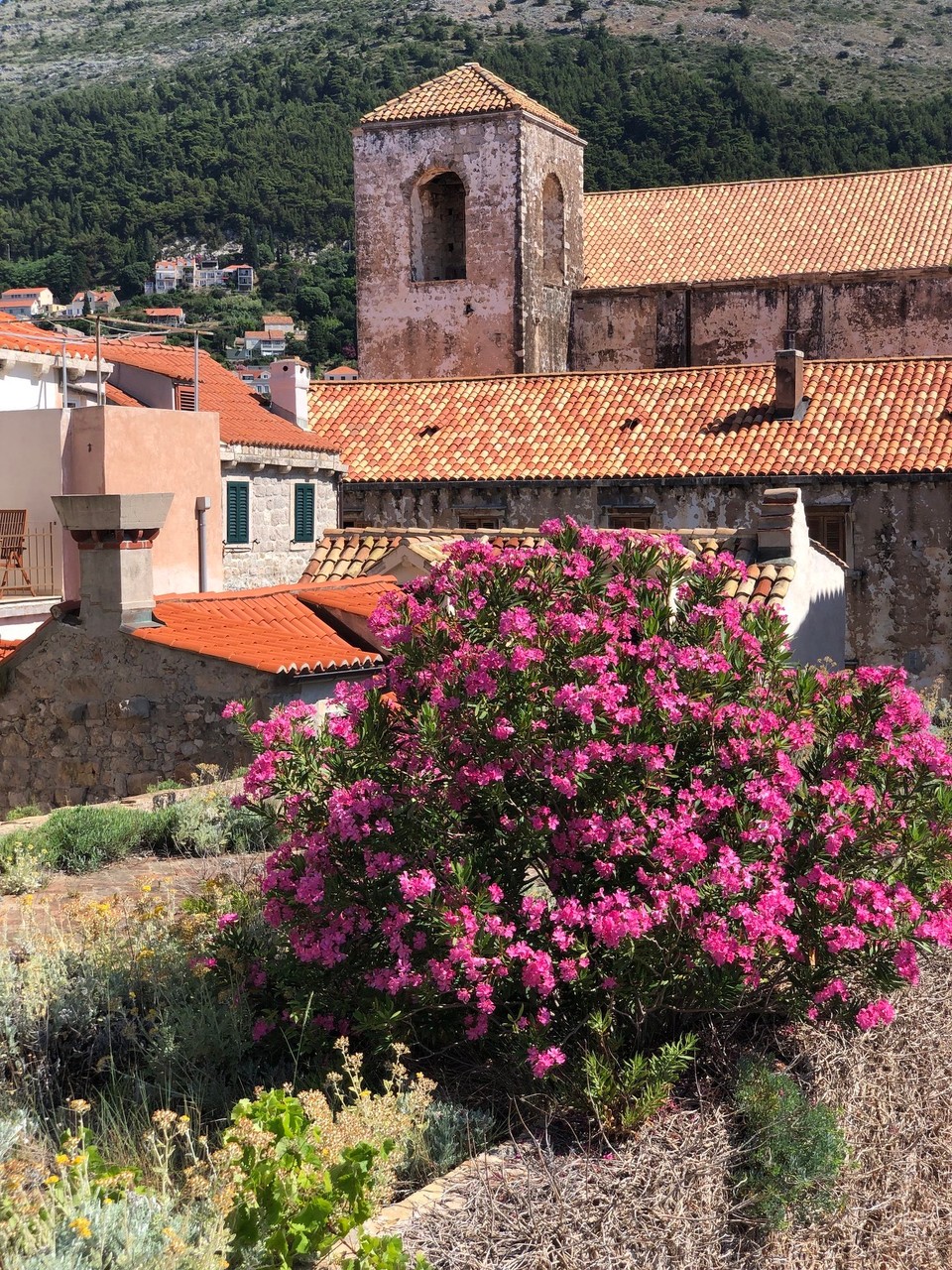 Kroatien - Dubrovnik - 