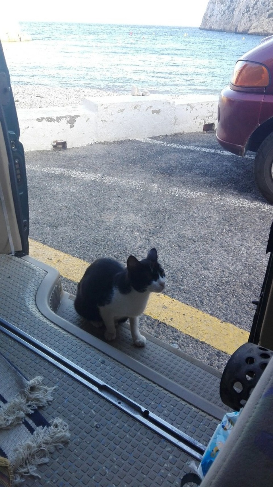 Spanien - Platja de la Granadella - Kurzer Katzenbesuch :)