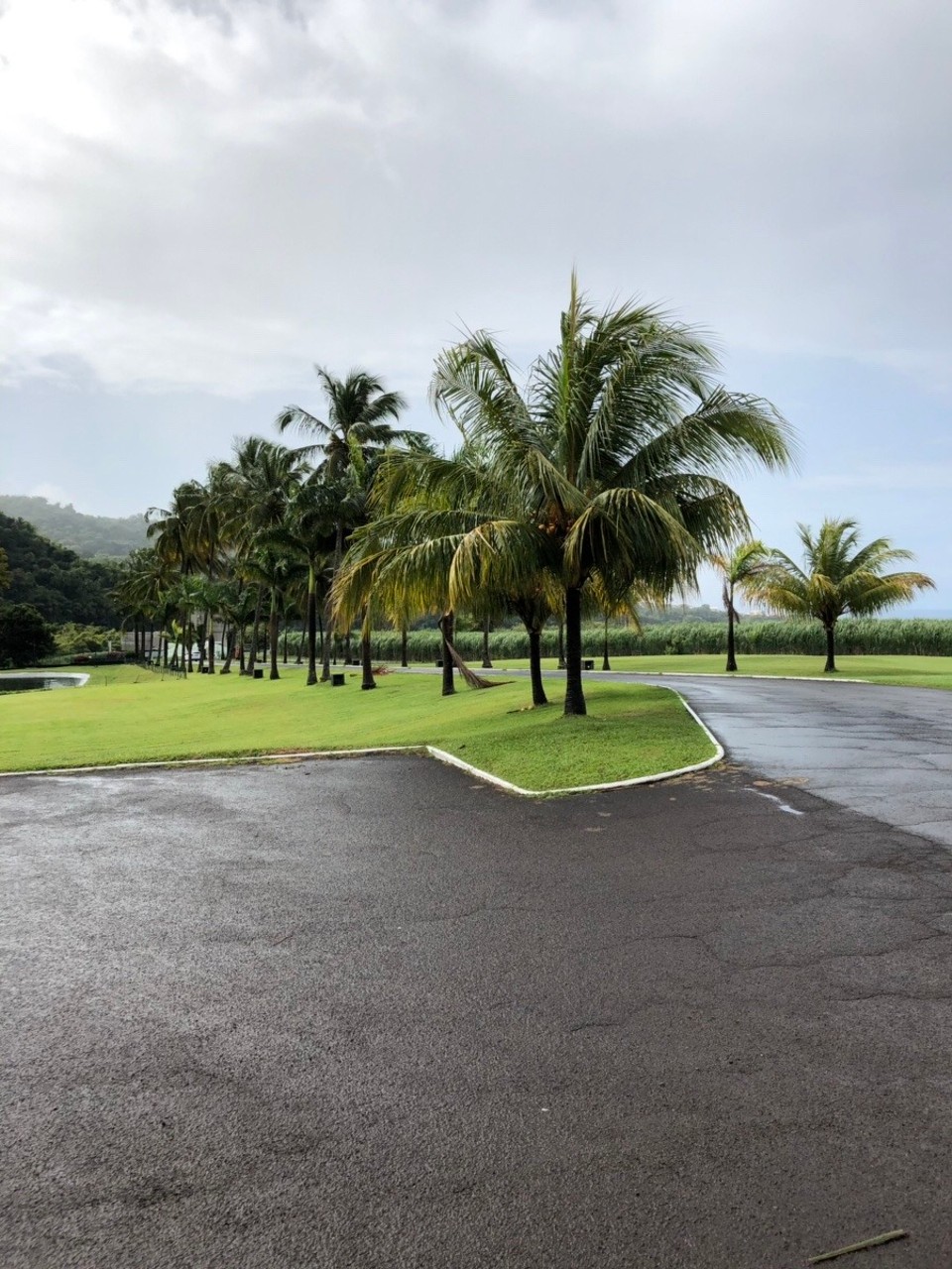 Martinique - Fort-de-France - 