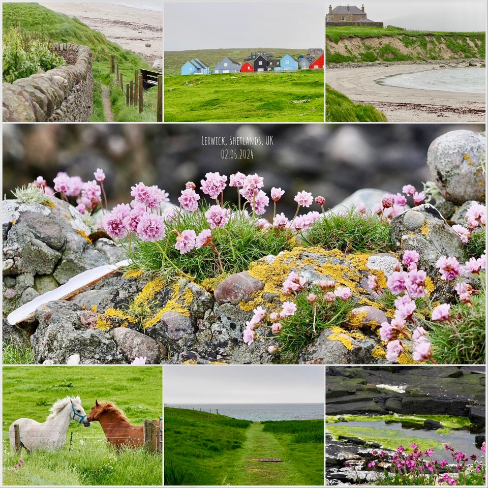 Vereinigtes Königreich - Shetland - 