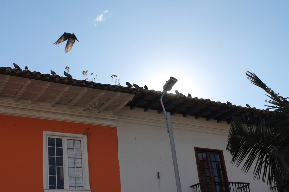 Colombia - Zipaquirá - 