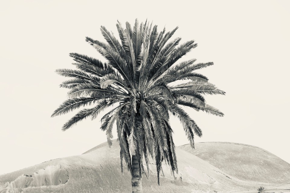 Spanien - La Oliva - 