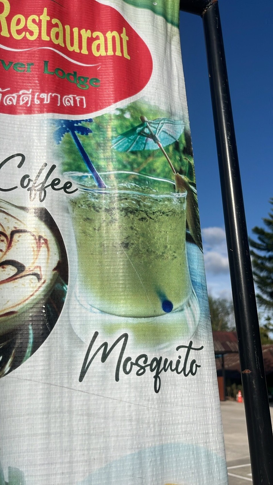 Thailand - Phanom - Mosquito cocktail sounds delish