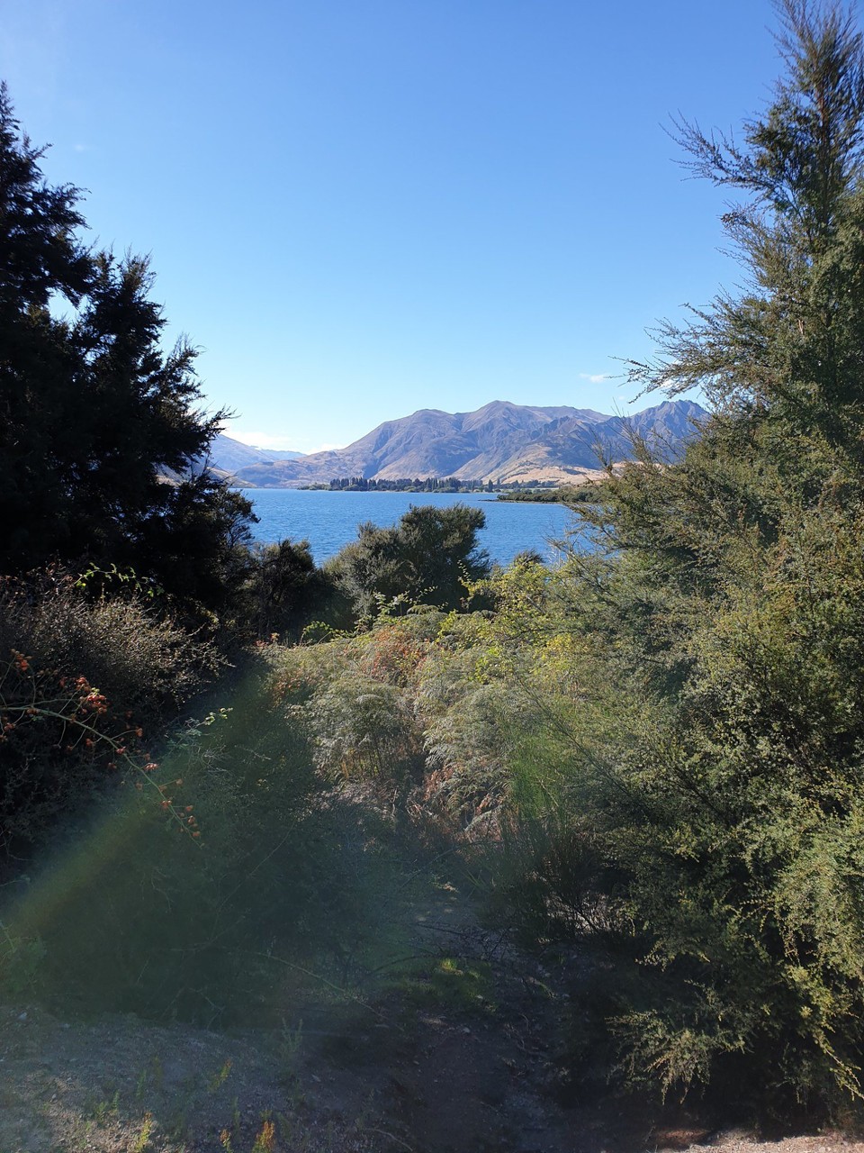 Neuseeland - Wanaka - 
