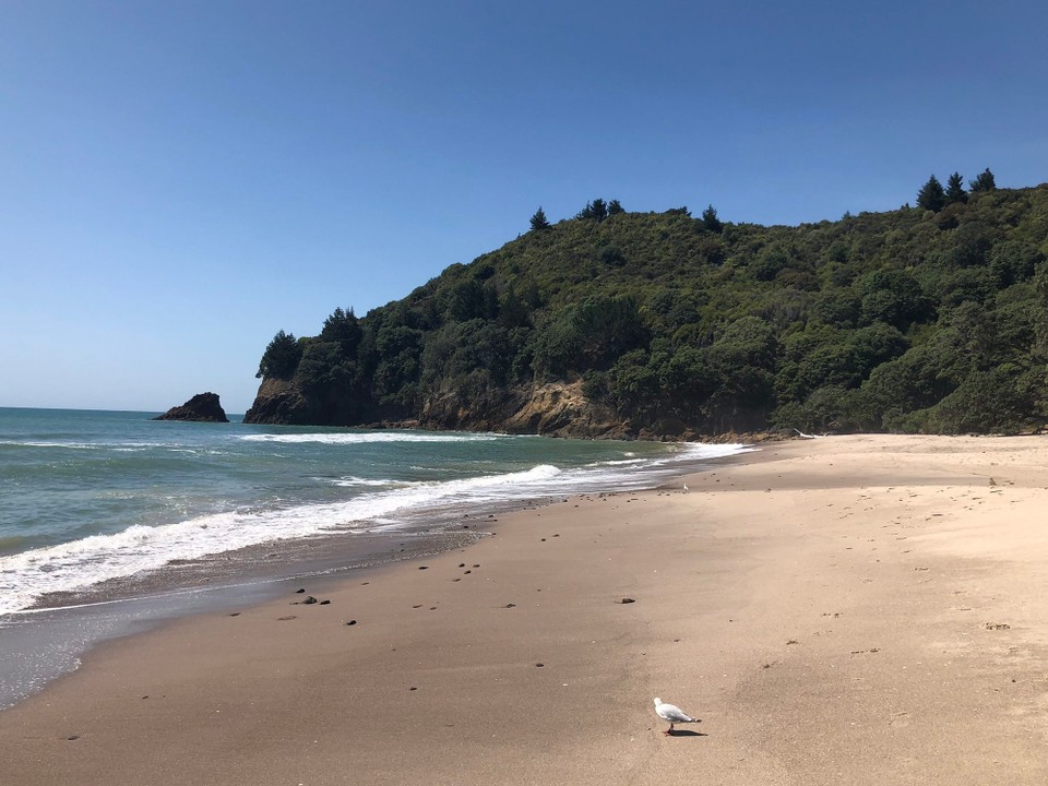 Neuseeland - Waihi Beach - 