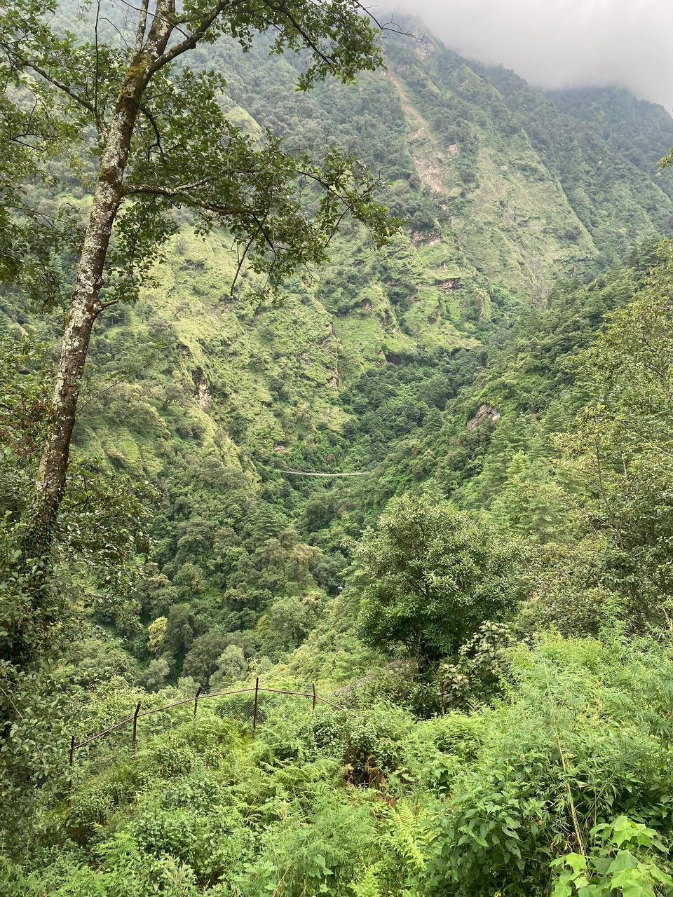 Nepal -  - Hängebrücke 🤩