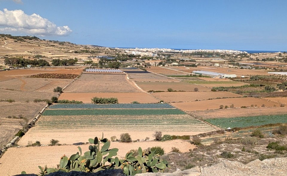 Malta - Mosta - Zu Fuß machen wir uns auf den Weg zu einer Parkanlage mit dieser Aussicht.