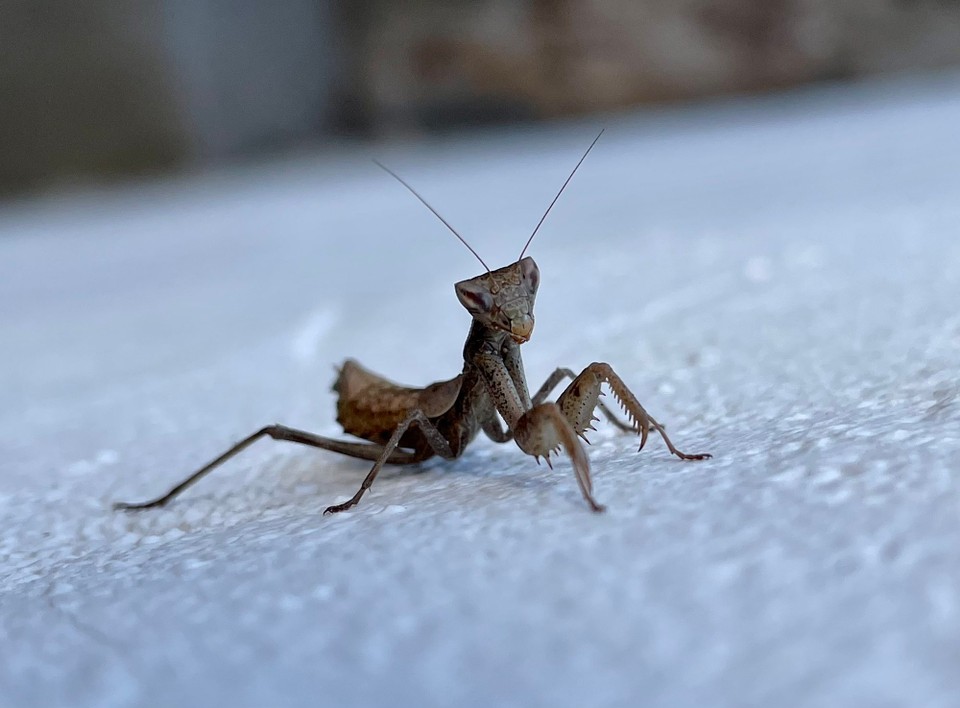 Portugal - Aljezur - 