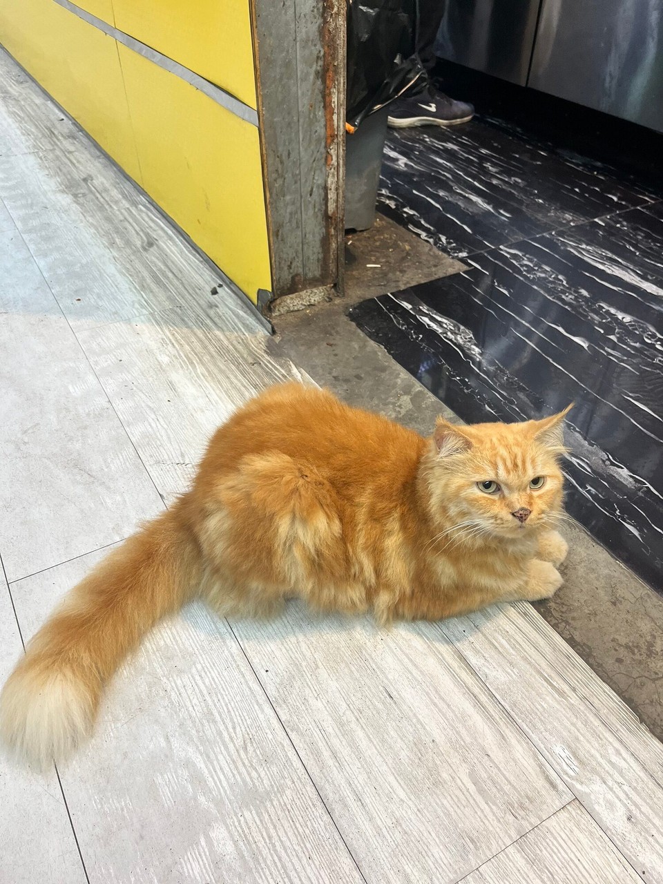 Indonesia - Kabupaten Lombok Utara - 