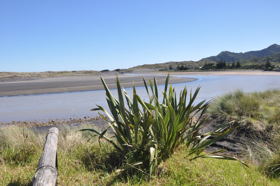Neuseeland - New Plymouth - 