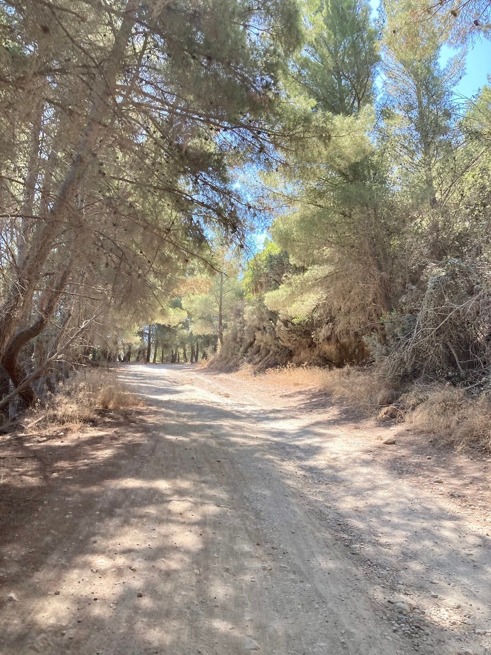 Italien - Orbetello - Auf der Südseite hats keine Strasse mehr