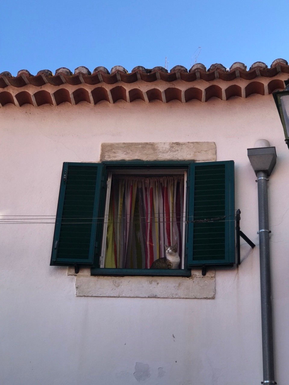 Portugal - Lisbon - Die Chatz hett alles vo obe beobachted: best surveillance camera ever!