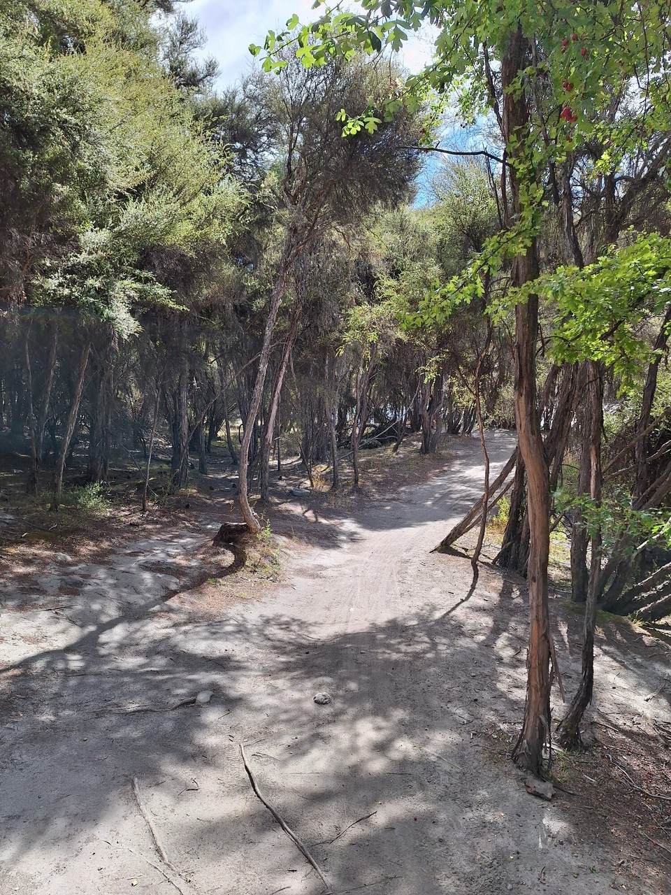 Neuseeland - Wanaka - Super Wanderweg am River Hawea