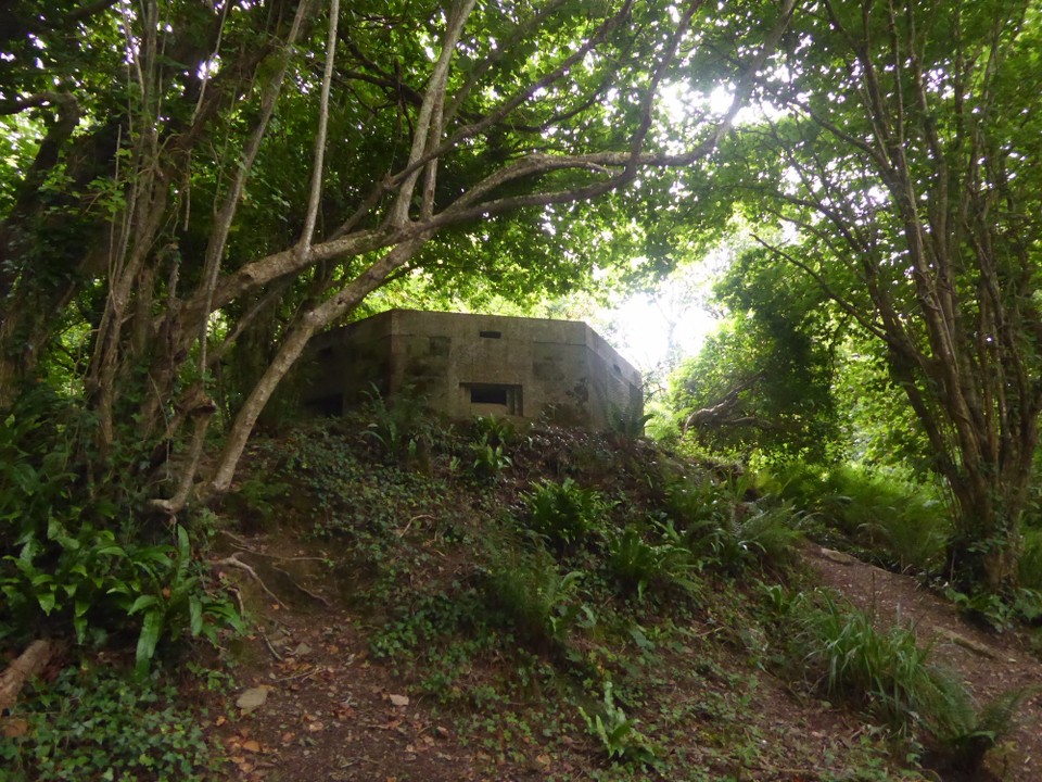 United Kingdom - Fowey - Pill boxes remain from World War II in the ancient Truan woods. Due to the number of American and British troops stationed here, and the license to export ammunition, Fowey became a ‘secret port’. Fowey was targeted by enemy bombers many times, when bombs, incendiary devices and mines were dropped.