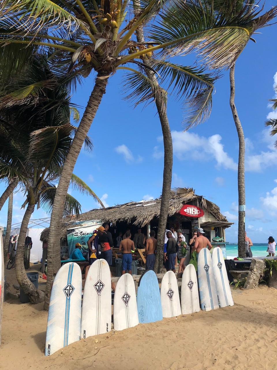 Dominikanische Republik - Miches - Surferstrand PlayaMacao