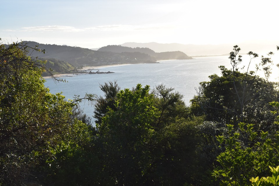 Neuseeland - Whitianga - 
