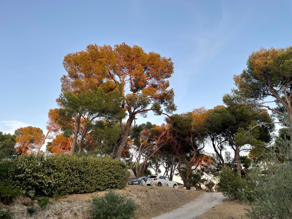 Frankreich - Avignon - 
