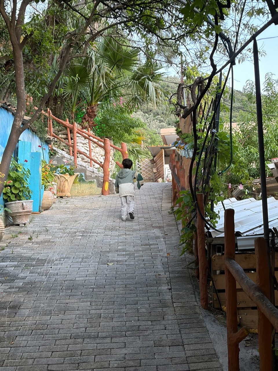 Griechenland - Geni - Und so geht auch der letzte Tag auf der wunderschönen Insel Lefkada zu Ende.