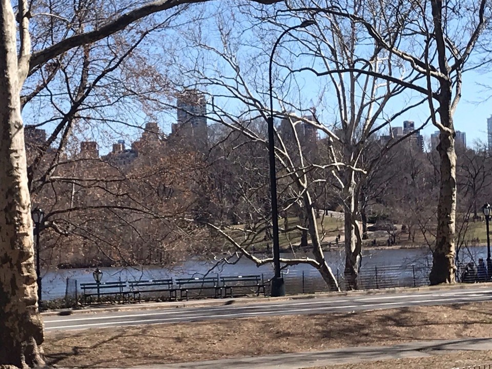 United States - New York - 