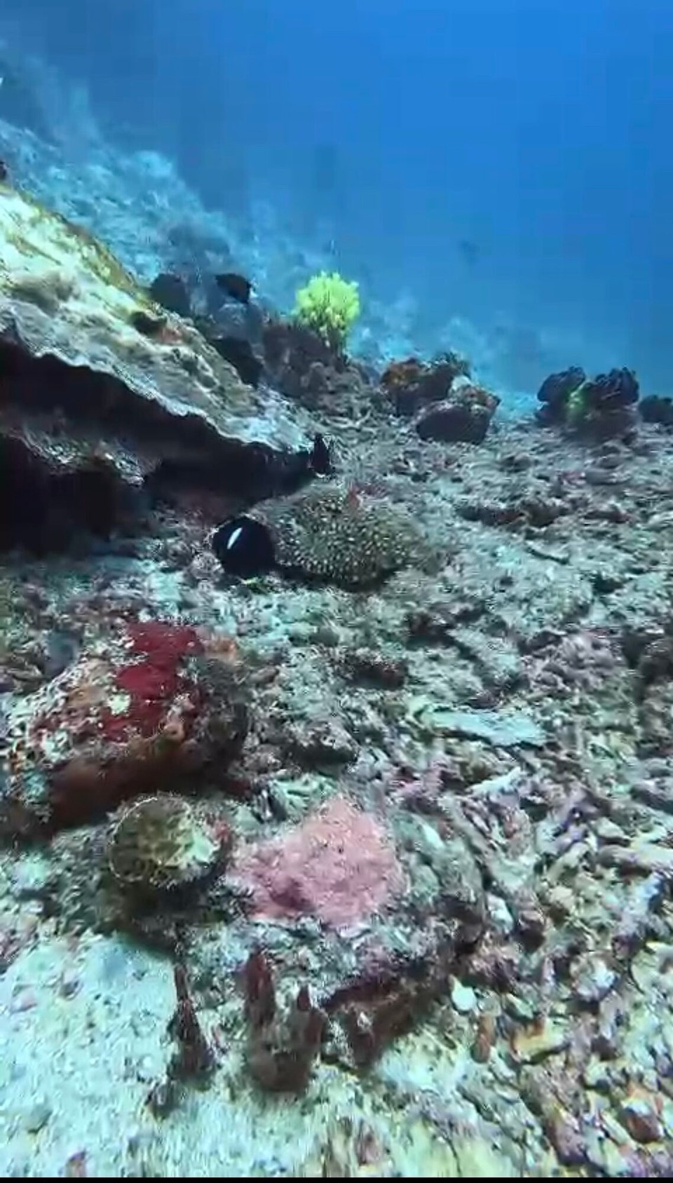 Indonesien - Karangasem - 