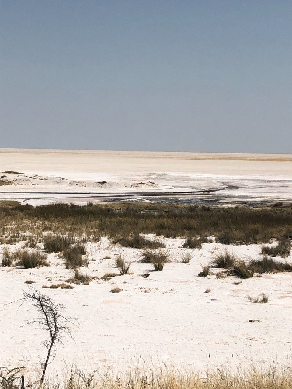 Namibia - Etosha National Park - Hier ist die riesige Salzspfanne zu sehen, die in der Regenzeit mit Wasser gefüllt ist.