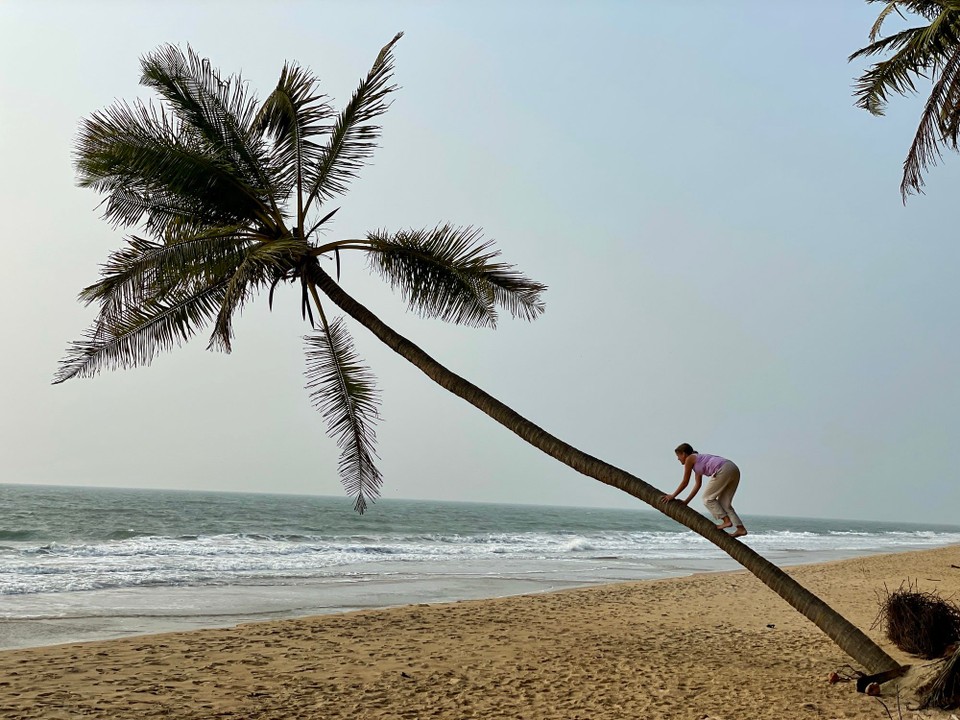 Indien - South Thrikkaripur - 