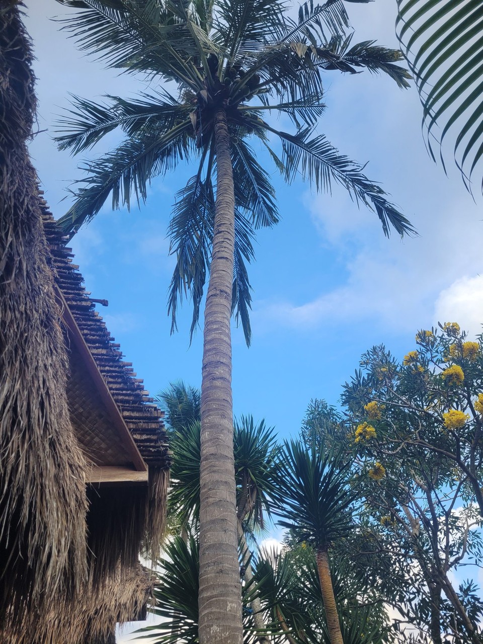 Indonesien - Lombok - 