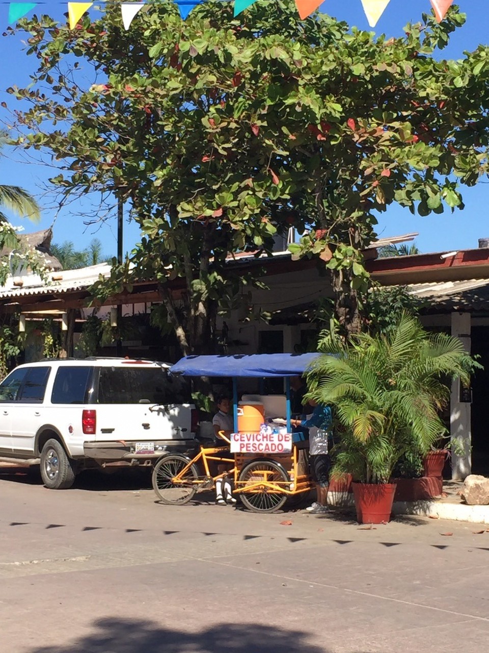 Mexiko - San Pancho - Ceviche ist hier am Pazifik sehr beliebt als schneller Snack. Für rohen Fisch waren wir dann allerdings doch nicht mutig genug...