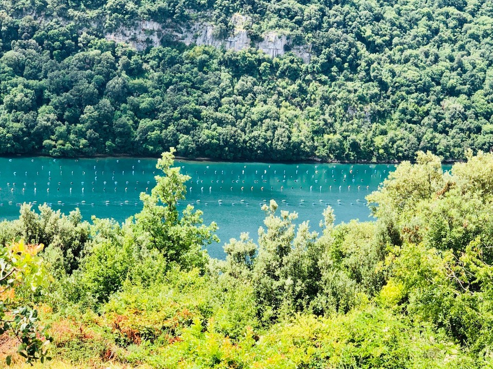 Kroatien - Kanfanar - 