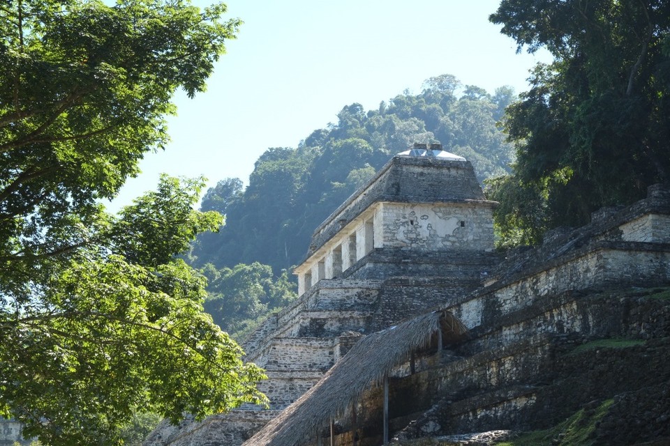 Mexiko - Palenque - 