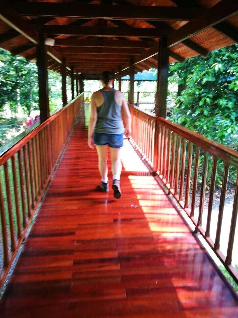 Costa Rica - San Carlos - 