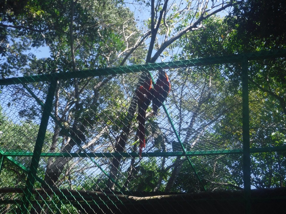 Costa Rica - Perez Zeledon - 