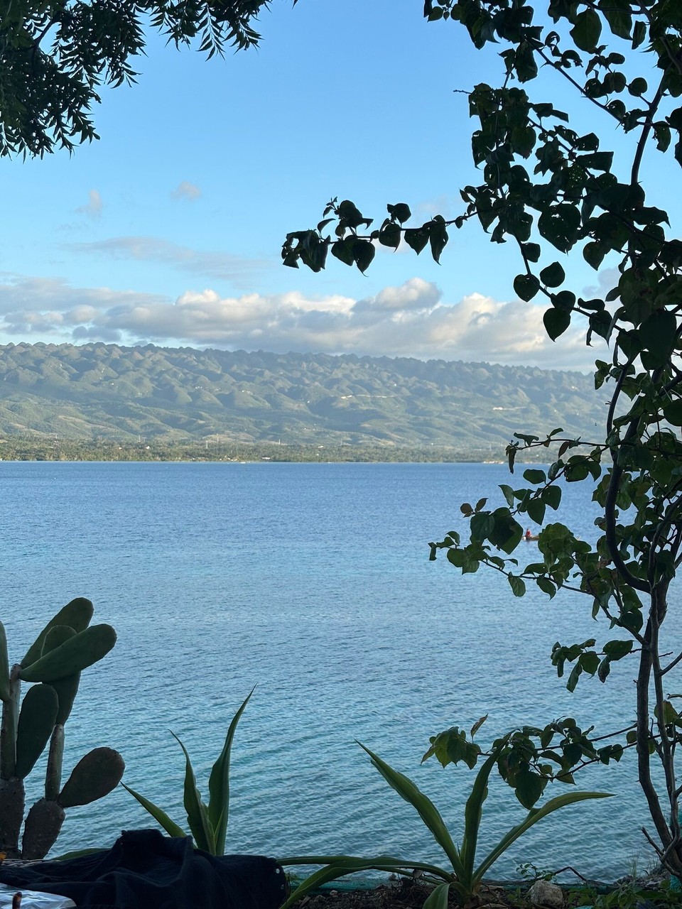 Philippinen - Moalboal - 