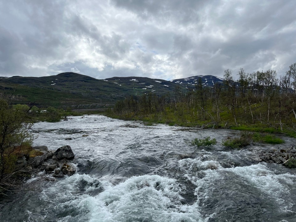 Schweden - Abisko - 