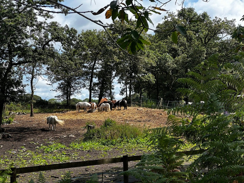 Frankreich - Carnac - 