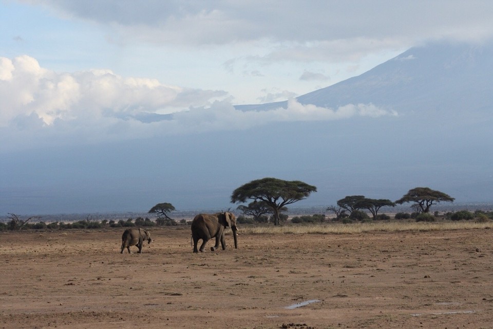 Kenia - Kajiado - 