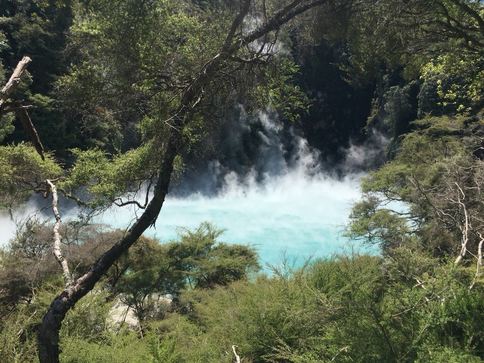  - Neuseeland, Waimangu, Waimangu Volcanic Valley - 