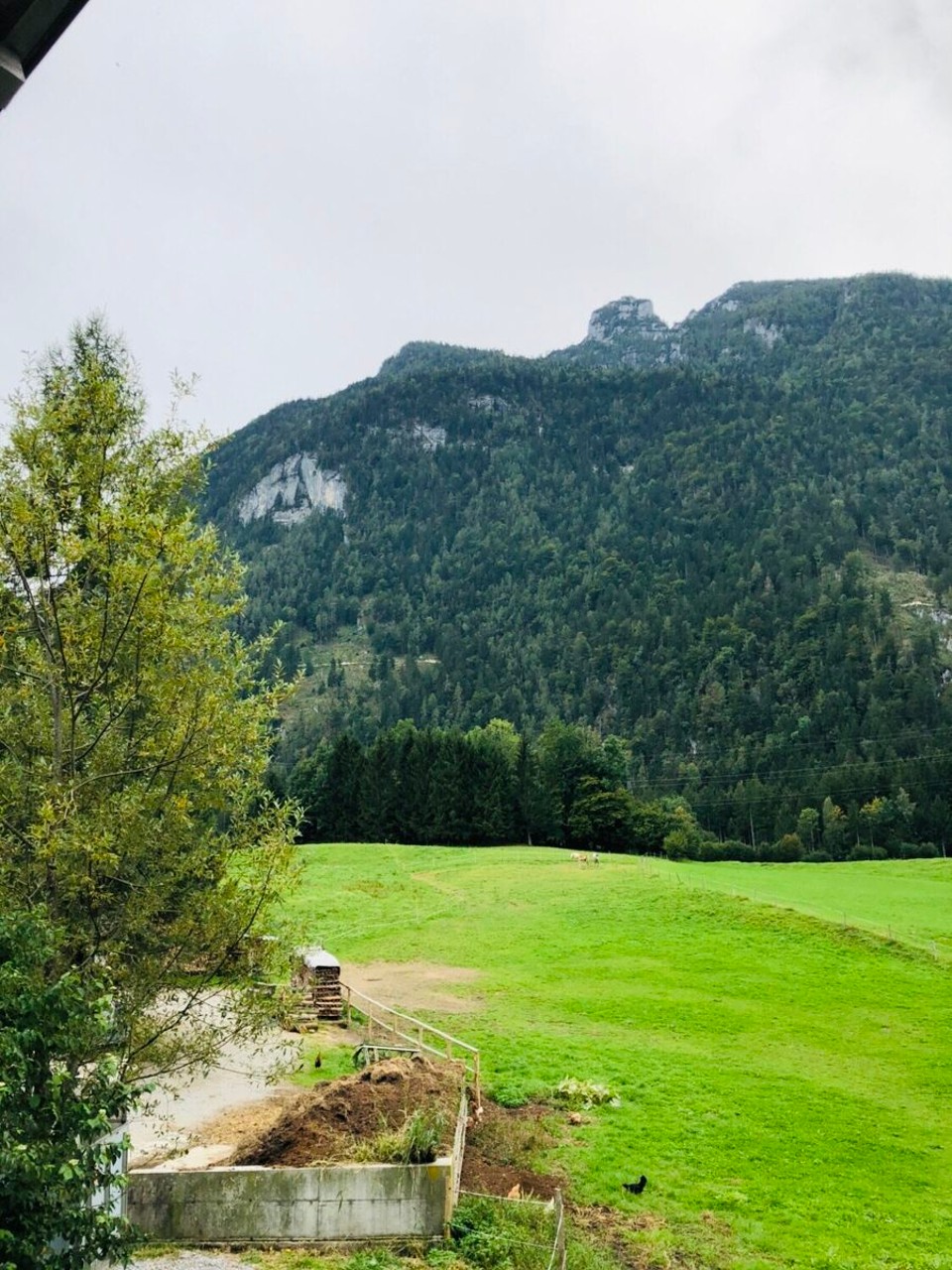 Österreich - Golling an der Salzach - Golling
