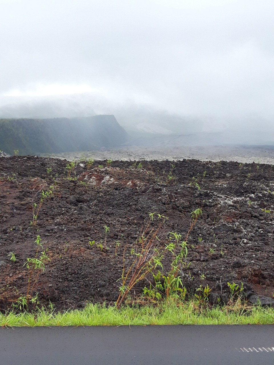 Réunion - Pointe des Galets - Lavafeld 2007